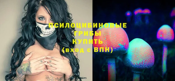 первитин Белоозёрский