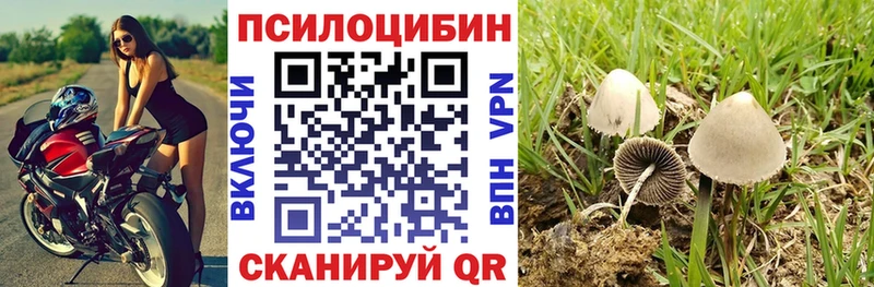 где купить   Полтавская  Галлюциногенные грибы Cubensis 